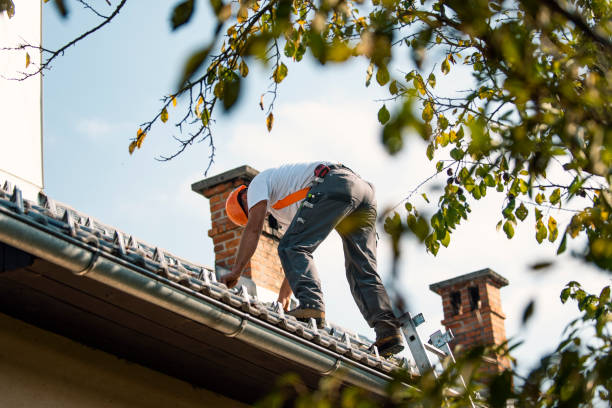 Best Roof Waterproofing Services  in Nyssa, OR
